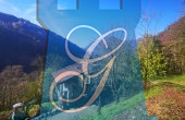 1c