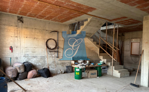 PHOTO-2025-03-04-18-02-2458