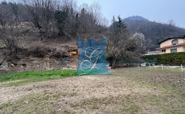 image00003